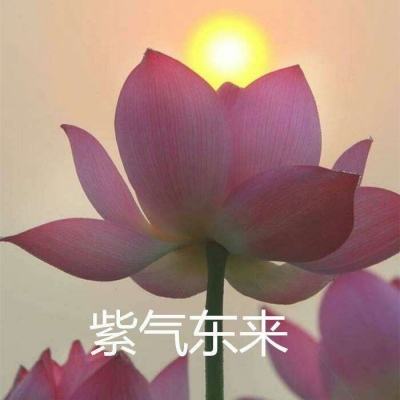 玉女心经游戏下载